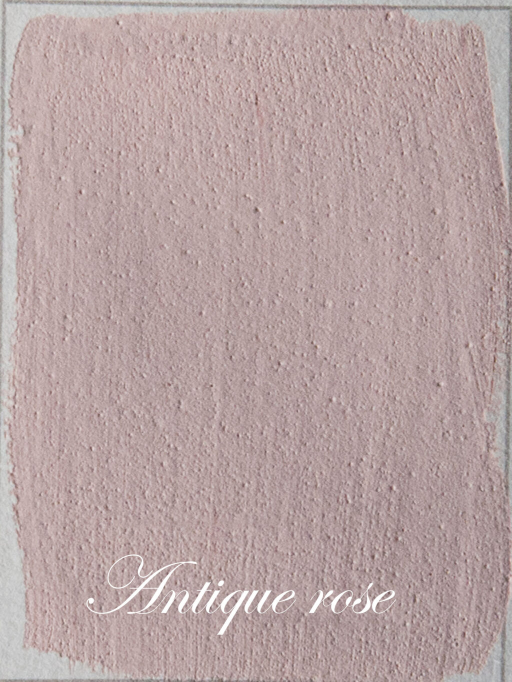 Antique Rose - Image 3