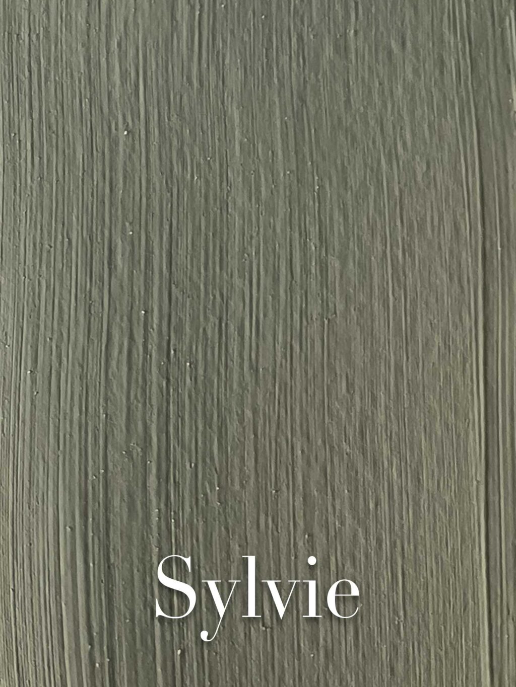 Sylvie - Image 2